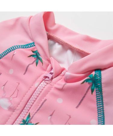 Bonverano Baby Girls Long Sleeve Swimsuit UPF 50+ Sun Protection Pink Coco 18-24 Months - Buy Online on GoSupps.com