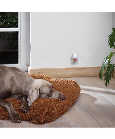 Buy Beaphar Canicomfort Starter Kit - Pheromone Diffuser for Dogs & Puppies - 30 Days Soothing Technology - 48ml Evaporator - International Shipping Available - Buy Online on GoSupps.com