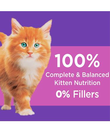 IAMS Proactive Health Kitten Dry Cat Food Chicken Recipe 3.5 lb - Pack of 1 - Buy Online on GoSupps.com
