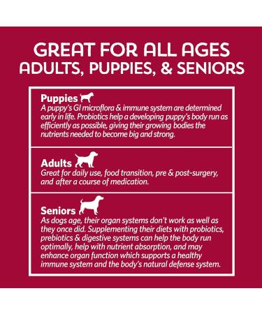 Good Guts Probiotic for Big Dogs - 12 Billion CFUs 11 Strains & Digestive Support | 20-Day Supplement for Adult & Puppy Dogs Over 66 lbs - Buy Online on GoSupps.com