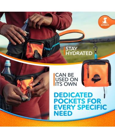 Sparklypets Jogging Line for Dogs | Hands-Free Leash with Belly Belt | Ideal for Medium/Large Dogs | Includes Treat Bag Feces Bag Pocket & Phone Holder | High-Quality Active Set - Buy Online on GoSupps.com