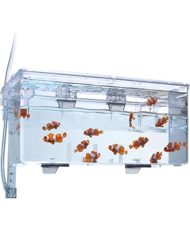 Fluval Large Multi-Chamber Holding and Breeding Box - Ideal for Fish Breeding and Aquarium Maintenance - Buy Online on GoSupps.com