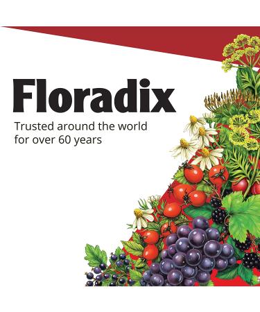 Floradix Floravital Iron & Herb Vegan Liquid Supplement 23 Fl Oz - Energy Support - Buy Online on GoSupps.com