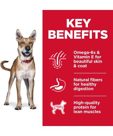 Hill's Science Diet Adult 1-6 Chicken & Barley Dry Dog Food 15lb - Pack of 1 - Buy Online on GoSupps.com