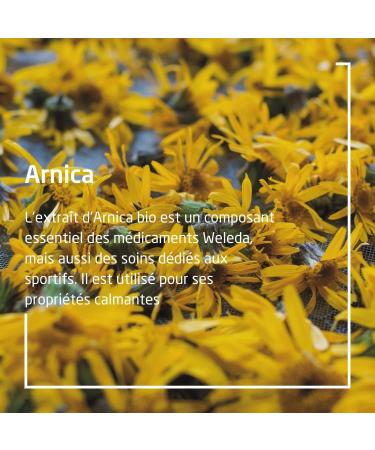 WELEDA - Arnica Cream - Hits Shocks Falls - Suitable from 9 months - NATRUE - Tube of 25g - Buy Online on GoSupps.com