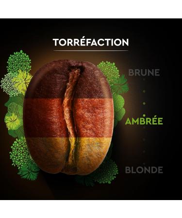 CARTE NOIRE - Carte Noire Ground Coffee "Organic Selection" - Organic Ground Coffee - Pure Arabica Ground Coffee - Pack of 6 x 500 g - Made in France - Buy Online on GoSupps.com