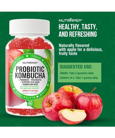 Probiotic Kombucha Gummies - Women Men Probiotic Prebiotic Probiotic Blend for Gut Health Bloating Metabolism Support with Slippery Elm Bark Dandelion Root - Vegan Gluten Free Apple Flavor 60 Count (Pack of 1) - Buy Online on GoSupps.com