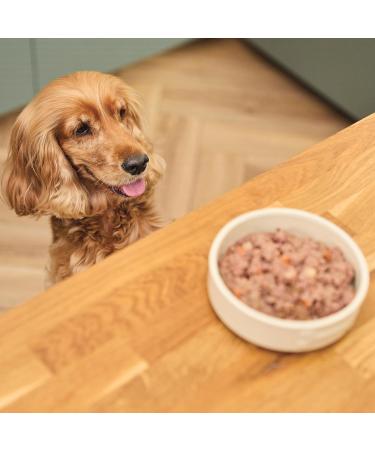 Buy Lily's Kitchen Organic Wet Dog Food for Adult Dogs - Beef (11 x 150g Pack) | Healthy Gourmet Dog Meals - Buy Online on GoSupps.com