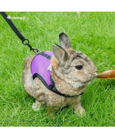 Niteangel Adjustable Soft Harness with Elastic Leash for Medium Rabbits - Pink | Comfortable & Safe Rabbit Apparel - Buy Online on GoSupps.com