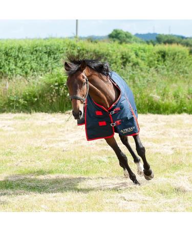 Gallop Trojan 600d Standard Neck 200g Turnout Rug 6'0" (EU 135cm) - Buy Online on GoSupps.com