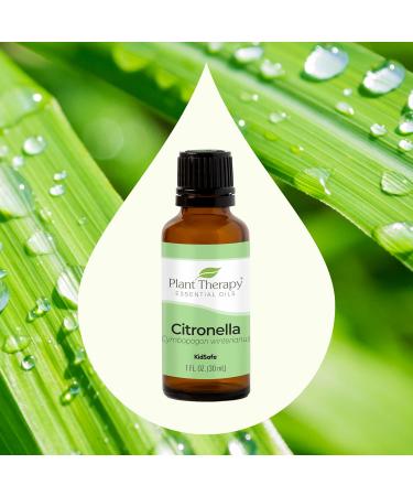 Buy Plant Therapy Citronella Essential Oil 30 mL - 100% Pure Undiluted for Aromatherapy Diffuser Candle Making & Skin Care - Therapeutic Grade International Shipping Available - Buy Online on GoSupps.com