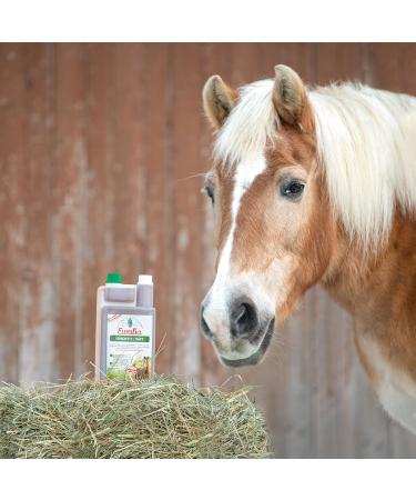 Ewalia Senior Fit Juice: Natural Vitality and Metabolism Support for Older Horses Developed with Vets 100% Natural No Additives - 2 x 1 Litre - Buy Online on GoSupps.com