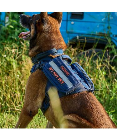 Oneigris Dog Feed Bag - 2 Pack Large Space Reflective Stripes for Tactical Training & Walking - Blue - Buy Online on GoSupps.com