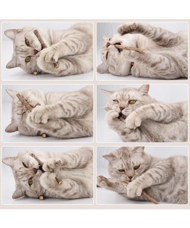Onebarleycorn Matatabi Cat Sticks - 30 Pack | Dental Care Cat Toys for Happy Healthy Cats - Buy Online on GoSupps.com