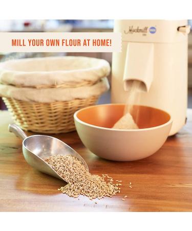 Organic Rye Berries - 100% Natural - 25 lbs - Pack of 1 - Buy Online on GoSupps.com