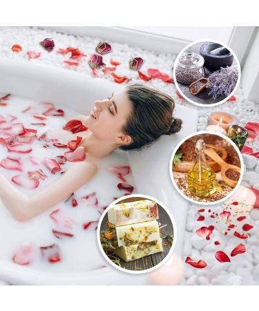 9 Bags Natural Dried Flowers Herbs Kit for DIY Soap and Candle Making - Rose Petals, Lavender, Jasmine, and More - Buy Online on GoSupps.com