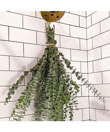 Dried Eucalyptus Branches Real Hanging Eucalyptus Stems Eucalyptus Plant Indoor for Shower Home DIY Hotel Office Shower Hanging Eucalyptus
