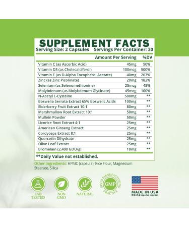 ETANATURE Lung Support Supplement - Lung Health Supplement for Respiratory Health, Lung Function & Immune Defense - Lung Detox for Smokers with Ginseng, Boswellia, Elderberry Fruit & Marshmallow Root - Buy Online on GoSupps.com