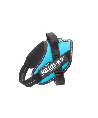 IDC Powerharness Size: XS/Mini-Mini Aquamarine Aquamarine XS/Mini-Mini