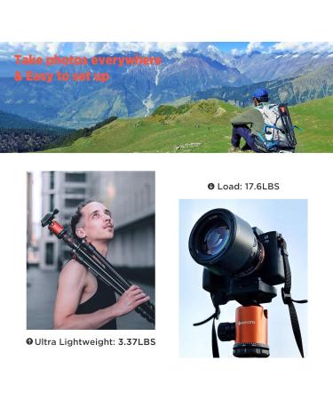 GEEKOTO 77'' DSLR Camera Tripod with 360 Ball Head - Lightweight & Durable - Buy Online on GoSupps.com