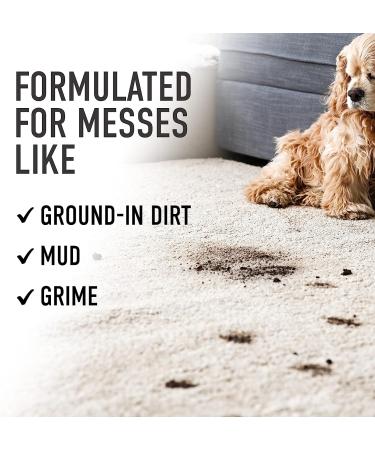 Hoover Prime Professional Carpet Shampoo Cleaner Solution - 50oz AH31959 White - Buy Online on GoSupps.com