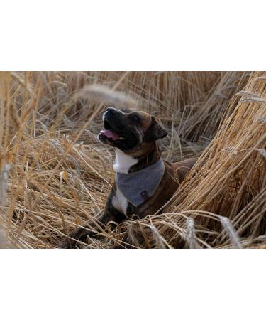 Vanclyde Sydney Dog Half Triangle Bandana - Stylish Blue-Gelb Accessory with Carabiner Closure | Size S for Dogs - Buy Online on GoSupps.com