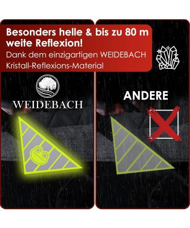 Weidebach 5x Reflective Stroller Reflectors - Funny Frog Motif | Universal Velcro Safety for Nighttime Strolling - Buy Online on GoSupps.com