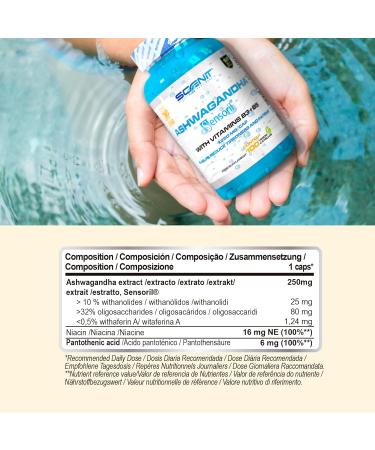 Ashwagandha Sensoril Capsules - 250mg with 10% Withanolides | High Dose Ashwagandha with Vitamin B3 & B5 | 100 Vegan Capsules for 100 Days - Optimize Stress & Wellness - Buy Online on GoSupps.com