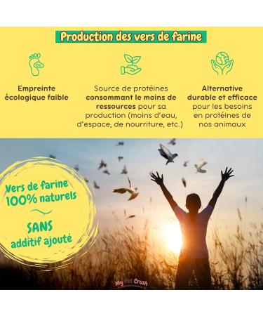 MPC - Dried Mealworms: A High Quality Protein Source for Wild Birds and Reptiles - Food Supplement - Buy Online on GoSupps.com