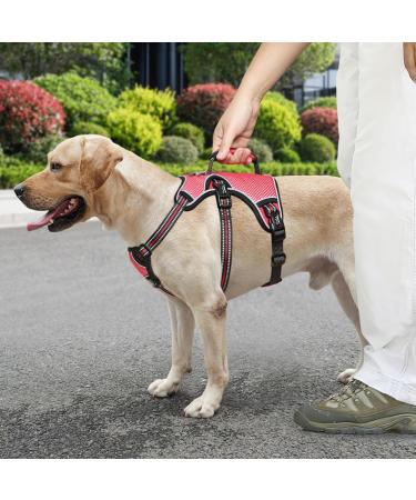 Heele Reflective Dog Crockery & Harness - Durable Comfortable Fit Panic-Resistant Red - Buy Online on GoSupps.com
