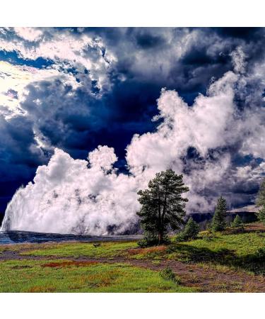 MNSC Old Faithful Naturally Better Solid Cologne - Handcrafted in USA Travel-Friendly Cruelty Free Hypoallergenic All-Natural Plant-Derived Old Faithful 0.5 Ounce (Pack of 1) - Buy Online on GoSupps.com