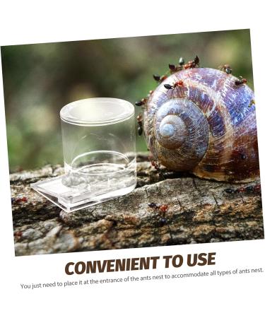 Didiseaon Pet Water Feeder Ant Nest Water Feeder Ants Feeding Device Ants Waterer Ant Feeder Climbing Pet Food - Buy Online on GoSupps.com