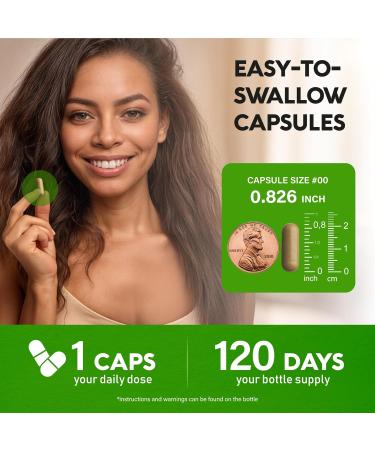 Green Tea Extract - 50% EGCG Extra Strength 20:1 Extract - Natural Green Tea Supplement + Green Coffee Beans & Apple Cider Vinegar - Energy & Metabolism Support - for Men & Women - Vegan 120 Capsules - Buy Online on GoSupps.com