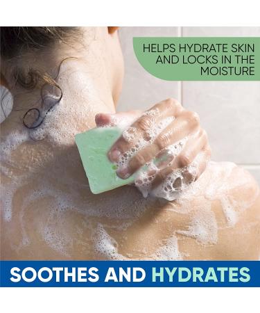 T.Taio Aloe Vera Soap Sponge | Gentle Shower Scrubber for Dirt & Oil Removal | Massage & Lather Foot Elbow & Face | Fresh Scent Bathroom Accessory - International Shipping Available - Buy Online on GoSupps.com