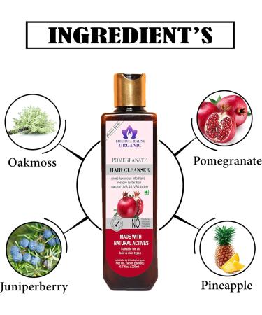 Blessfull Healing Organic Pomegranate Hair Cleanser | Shampoo 200 ML (Packing May Vary) - Buy Online on GoSupps.com