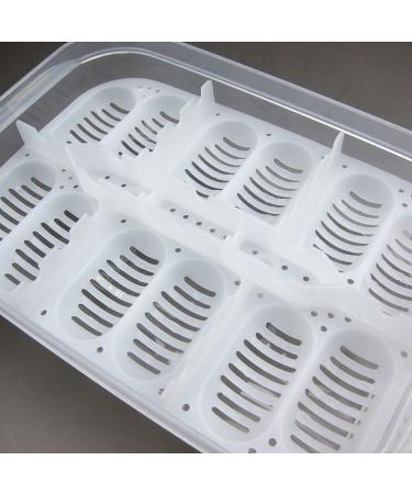 Alfie Pet Bali Reptiles Egg Incubator Tray - Ideal for Reptile Breeding and Incubation - Buy Online on GoSupps.com
