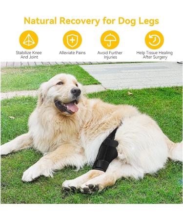Dog Pet Knee Brace for Support with Cruciate Ligament Injury Joint Pain and Muscle Sore Better Recovery with Dog ACL Knee Brace Adjustable Rear Leg Braces for Dogs Knee Brace (Large) - Buy Online on GoSupps.com