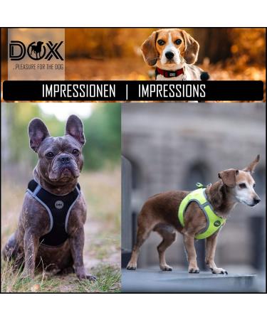 Ddoxx Reflecting Airmesh Step-in Dog Harness - Adjustable Green Puppy Vest for All Sizes (L) - Breast Size: 43-48 cm - Buy Online on GoSupps.com