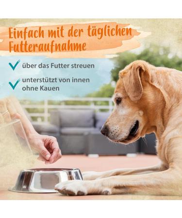 Ida Plus Denta Dog - Light Dog Dental Care | No Brush Needed | Fresh Breath & Plaque Control - 150g - Buy Online on GoSupps.com