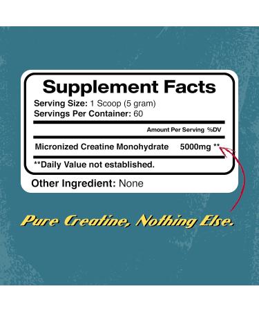 Micronized Creatine Monohydrate Powder - Unflavored 300g | Enhance Performance & Recovery | 5000mg per Serving | 60 Servings - Buy Online on GoSupps.com