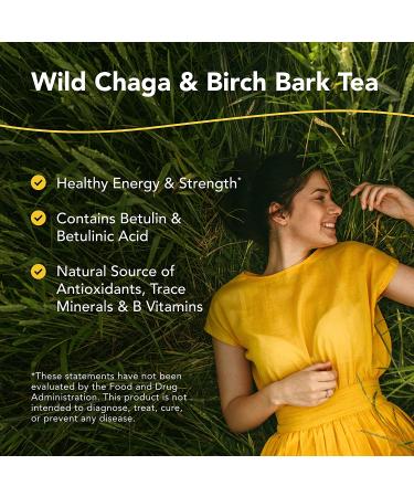 North American Herb & Spice Chag-o-Charge Tea - Chaga Mushroom & Birch Bark - 45 Servings for Energy & Antioxidants (3.2 oz) - Buy Online on GoSupps.com