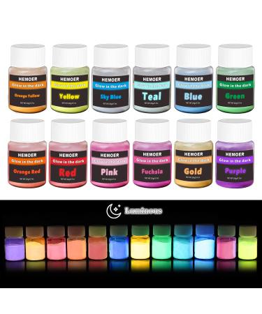 HEMOER 12 Colors Glow in the Dark Pigment Powder  0.7oz/Bottle Luminous Mica Powder Perfect for Epoxy Resin Safe Non-Toxic Fluorescent for Nails  Acrylic Paint  Halloween  Fine Art & DIY Crafts