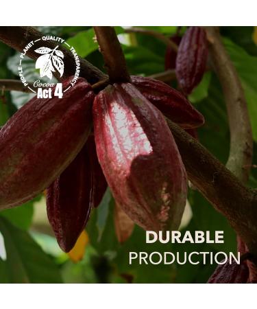 Dolfin Caramels & Chocolats Chocolat au Lait & Noix de P can - Caramel au Beurre Sal Maison Noix Caram lis es- Id e Cadeau Confiseries Friandises Bonbons - Fait en Belgique 200g - Buy Online on GoSupps.com