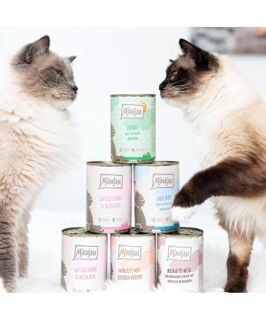 Mjamjam Premium Wet Cat Food - Trial Package & Tasty Turkey with Carrot (6 x 800g) - Cereal-Free Extra Meat Bundle - Buy Online on GoSupps.com