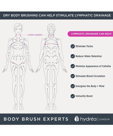 Hydrea London Body Brush Back Scrubber - Long Handle Shower Brush with Natural Bristles - Exfoliating Cellulite Brush - FSC Certified Beechwood - 2 Piece Set - Buy Online on GoSupps.com