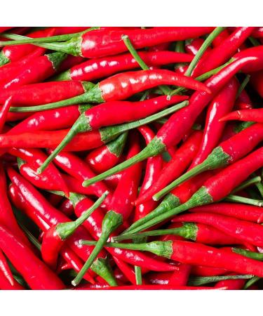 Fresh Red Bird's Eye Chilli | Chillies 1 Kg | Red Chilli | Bird Eye Chilli