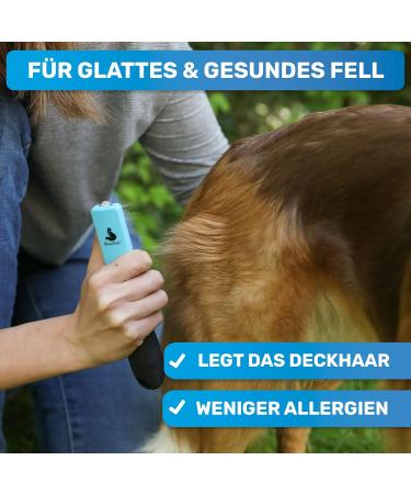 Bluepet PROFI Definition CAMM for Dogs & Cats | Premium Knot Removal & Delimitation Tools | International Shipping Available - Buy Online on GoSupps.com