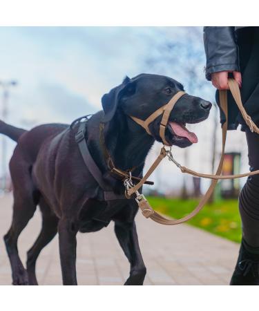 Halti Head Harness for Medium Dogs - No Pull Leash Training | Adjustable Lightweight Padded Nose Strap - Desert Sand (Size 2) - Buy Online on GoSupps.com