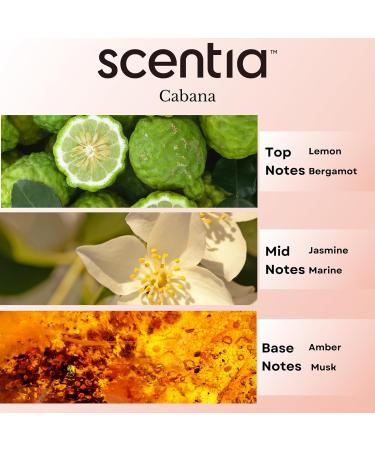 Cabana Hotel Collection Diffuser Oil - 5-Star Hotels Fragrance | 20ml Aromatherapy Oil for Home & Office - Buy Online on GoSupps.com