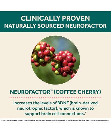 Neuriva Brain + Energy Shots - Nootropic Supplement for Focus & Energy Boost - 12 Count Strawberry Lemonade - Buy Online on GoSupps.com